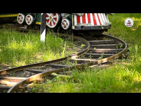 Видео: Клип Паровоз Букашка