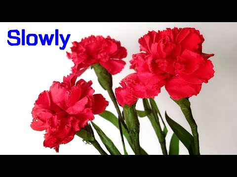 Видео: ABC TV | Как сделать цветы гвоздики из бумаги с пуншем (медленно) - Учебник по рукоделию