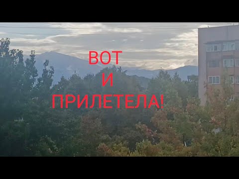 Видео: Конечно,АДЛЕР! КАК Летела,Сколько стоил билет,Куда на Завтрак!)