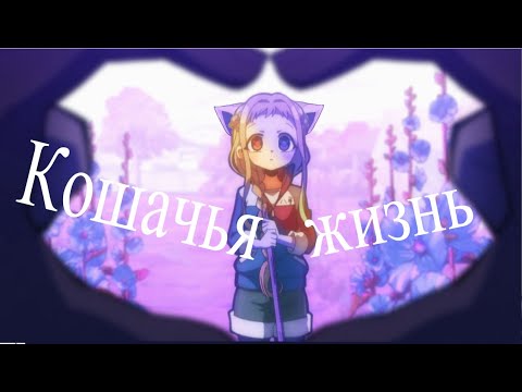 Видео: Ах, эта прекрасная кошачья жизнь! Ханако и Ясиро (Ah! Subarashiki Nyansei Hanako and Yashiro)