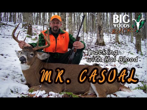 Видео: Мистер Кэжуал | Отслеживание с Хэлом Бладом
