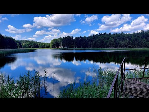 Видео: КРАСИВОЕ ОЗЕРО около д.Чаша Клецкий р-н