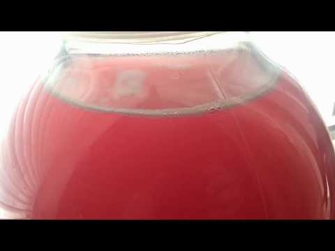 Видео: Как избавиться от плесени в   играющем вине . Вино калины ч.1.