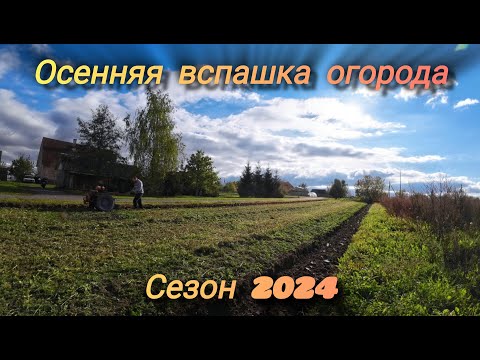 Видео: ❗ Осенняя вспашка огорода в развал❗ Глубина вспашки ❗ Мотоблок пашет сам 😎 Сезон 2024❗