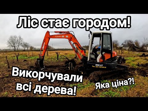 Видео: Купив хату в селі! Ліс стає городом! Викорчували всі дерева! Яка ціна і скільки часу?! Все детально!