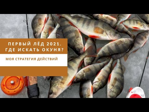 Видео: Первый лёд. Где искать окуня? Моя стратегия действий.