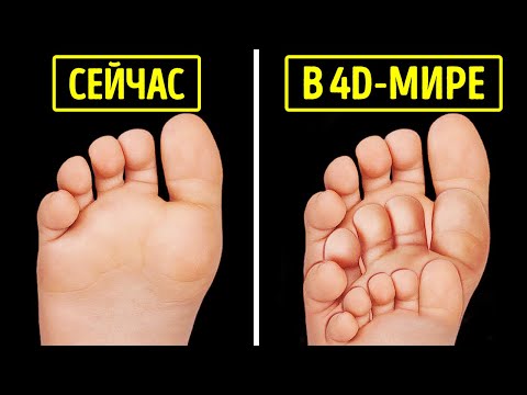 Видео: Как бы вы изменились в четырехмерном пространстве?
