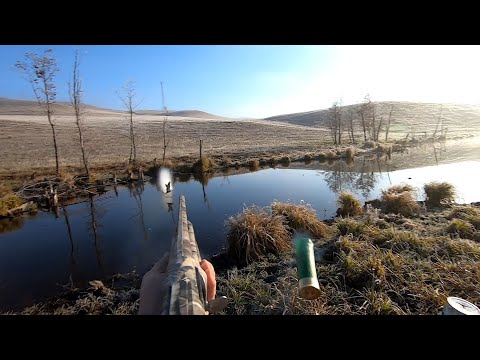 Видео: ДВУХДНЕВНАЯ ОХОТА НА УТКУ! НЕ ОХОТА А ПРОСТО СКАЗКА 👍НАСТРЕЛЯЛИ ЖИРНЫХ УТОК!Мр 155 в деле!первый лёд