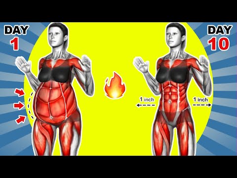 Видео: 🔥 Сожгите жир на животе и получите плоский пресс за 2 недели ➜20-минутная кардио-тренировка стоя ...