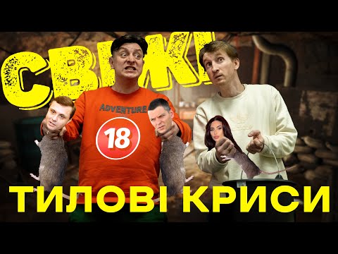Видео: Тилові криси 2. Бампер і Сус