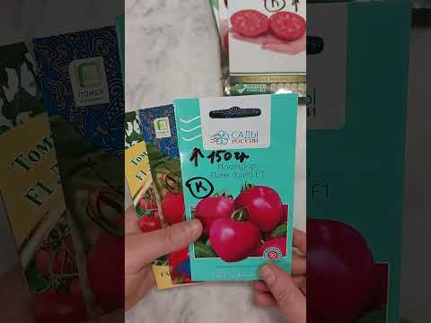 Видео: Томаты устойчивые к кладиспариозу( подборка)