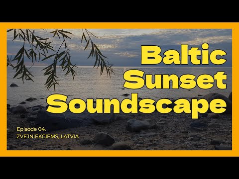 Видео: Natural Soundscape of Chill and Relax on a Sea Cost | Естественные звуки отдыха на берегу моря