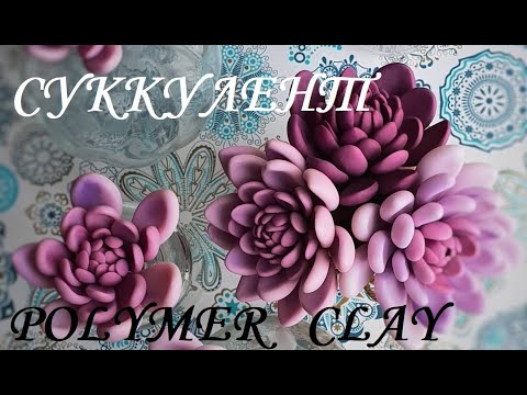 Видео: Суккулент из холодного фарфора ; Succulent from cold porcelain ; 肉质的冷瓷器