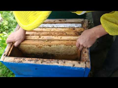 Видео: Якщо так скласти перезимують даже дві вулички. 