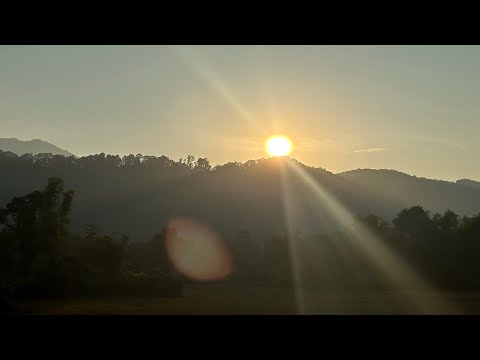 Видео: 🇱🇦Прекрасная лаосская природа вокруг, ручные птицы и котики. Лай выздоравливает. Я разглагольствую