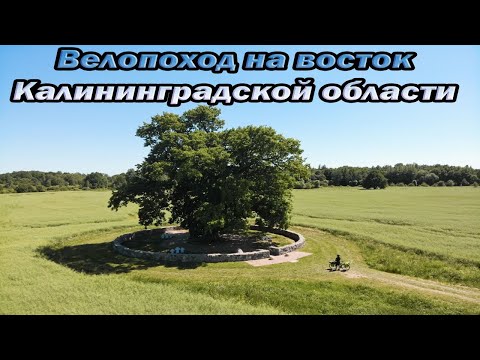 Видео: Велопоход на восток Калининградской области | Воинский мемориал Маттишкемен | Дуб в Бабушкино