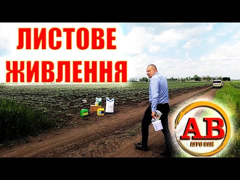 Видео: КОРМИМ ПО ЛИСТУ -💯% ПРИБАВКА ДО ВРОЖАЮ ГАРАНТОВАНА 🌻🌽 !!! #агро*ван