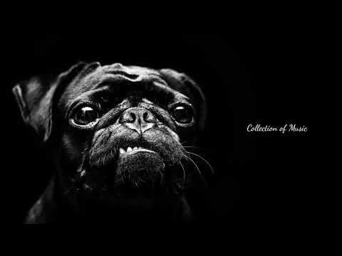 Видео: Макухин - Взял вину на себя