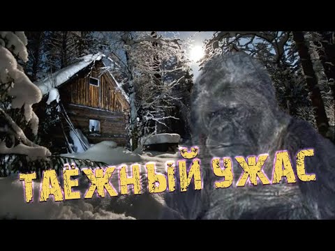 Видео: 💥 Таёжный УЖАС Странный Необъяснимый случай который произошел с двумя туристами в глухой тайге