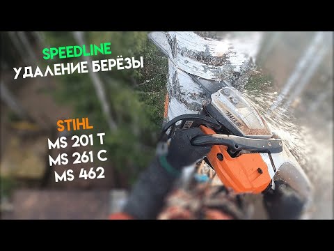 Видео: Спилили наклонённую березу по SPEEDLINE / ONLINE