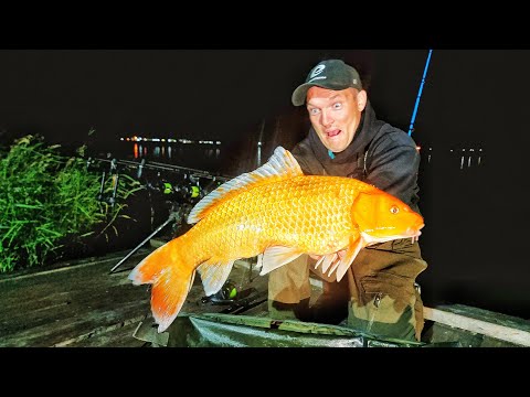 Видео: Я В ШОКЕ! САМАЯ ДОРОГАЯ РЫБАЛКА И РЫБА ДЛЯ МЕНЯ! КАРПФИШИНГ - ЛОВЛЯ КАРПА И НЕ ТОЛЬКО ч.1