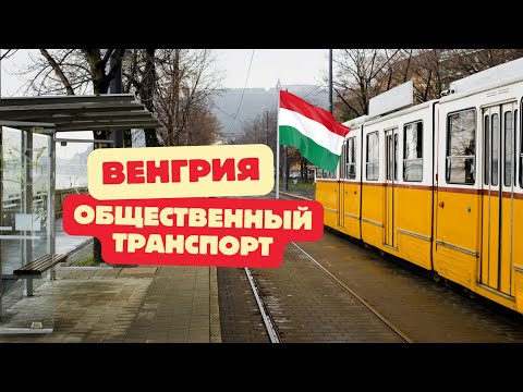Видео: ОБЩЕСТВЕННЫЙ ТРАНСПОРТ ВЕНГРИИ. ВЛОГ