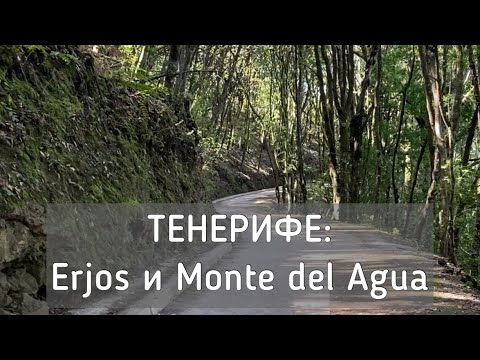Видео: ТЕНЕРИФЕ: Erjos и Monte del Agua