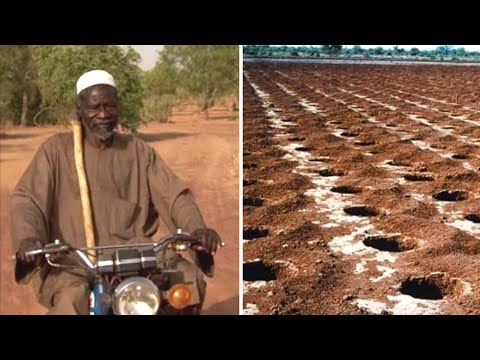 Видео: Как Африканец превратил пустыню в цветущие сады. История Якуба Савадого