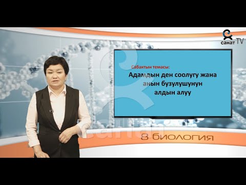 Видео: Биология 8 класс 55 сабак