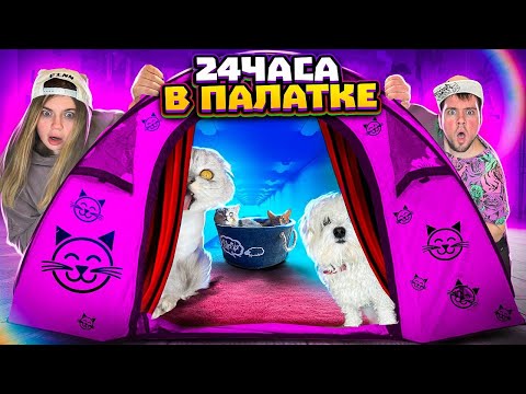 Видео: 24 ЧАСА В ПАЛАТКЕ ДЛЯ КОТОВ И СОБАК! ОГРОМНЫЙ ДОМ ДЛЯ КОШЕК!