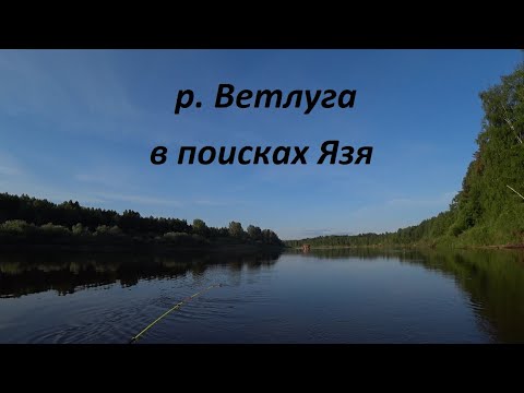 Видео: Рыбалка с лодки, ловля язя на горох. р. Ветлуга.