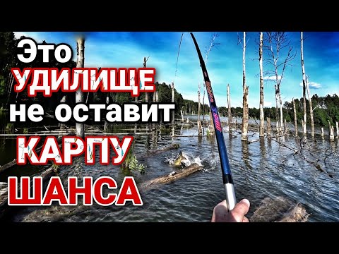 Видео: Как поймать Карпа | Секреты ловли Карпа в коряжнике | Ловля Карпа на Боковой кивок