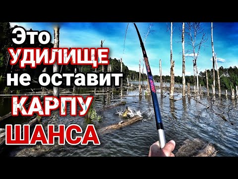 Видео: Как поймать Карпа | Секреты ловли Карпа в коряжнике | Ловля Карпа на Боковой кивок