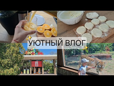 Видео: Ростовский зоопарк 🐾