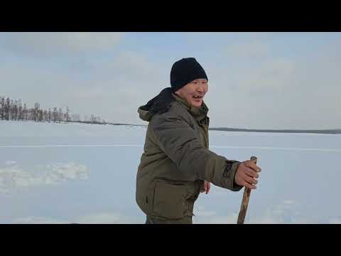 Видео: Куйуур Подледная рыбалка 2025