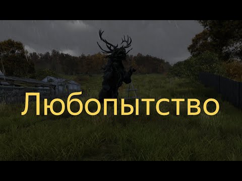 Видео: DAYZ 1.27 | ЗНАКОМСТВО С СЕРВЕРОМ | АТМОСФЕРА ВЫЖИВАНИЯ В СОЛО!