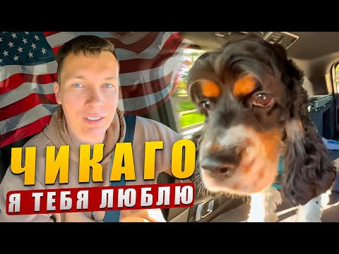 Видео: В Чикаго жизнь дешевле в два раза, чем в Нью-Йорке!