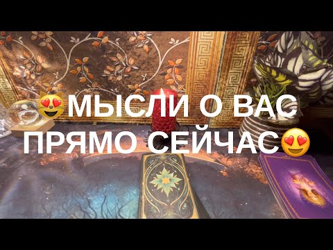 Видео: 11 ноября 2025 г.