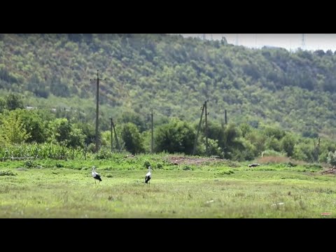 Видео: В путь! Село Выхватинцы - 20/08/20