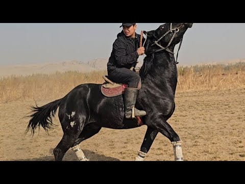 Видео: КАРА БАЙЫР ЗАМАНДЫН АТЫ