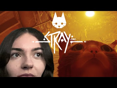 Видео: Проходження Stray | КАНАЛІЗАЦІЯ #4