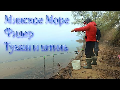 Видео: Минское Море.Фидер в штиль