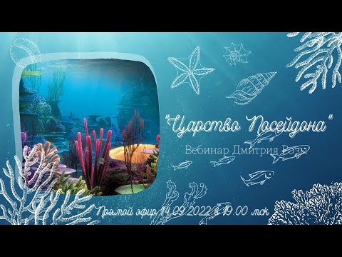 Видео: "Царство Посейдона": вебинар Дмитрия Розы
