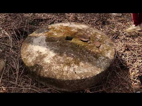 Видео: Золотая речка Древние Артефакты Сихотэ-Алинь Приморье ДВ Прогулка Давыдов 13 апреля 2024 г.