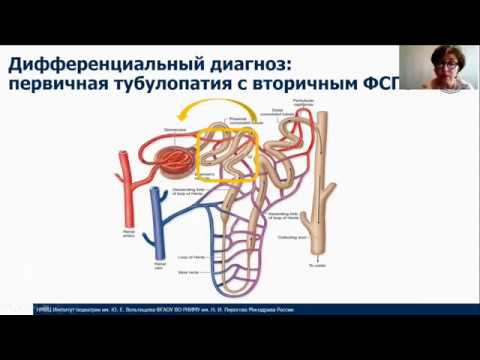 Видео: Болезнь Дента: нераспознанная причина протеинурии