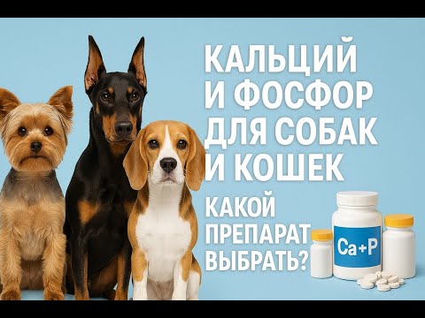 Видео: Добавки кальция и фосфора для собак и кошек, как устранить дефицит кальция, что лучше и что выбрать.