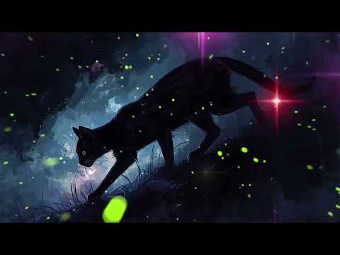 Видео: Магія ночі🔮🍂