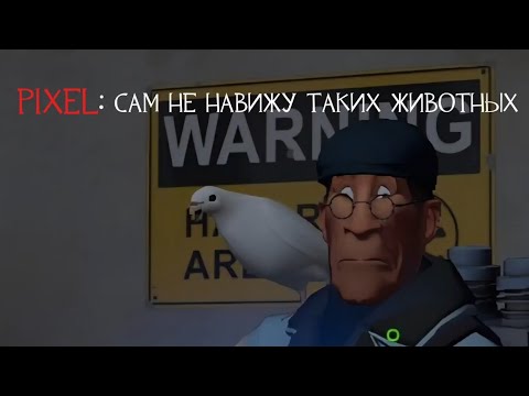 Видео: [TF2] 4:16 минут бегаю по серверам