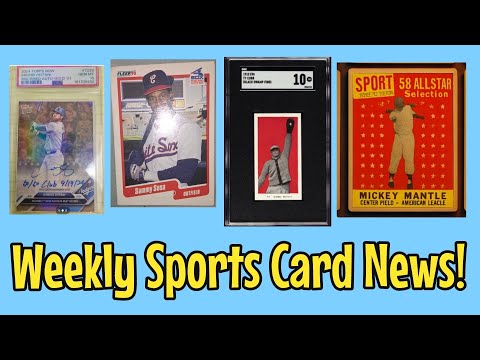 Видео: Скандалы с подставными ставками! | Теневые соревнования! | Запуск странного ИИ-снайпера! | И друг...