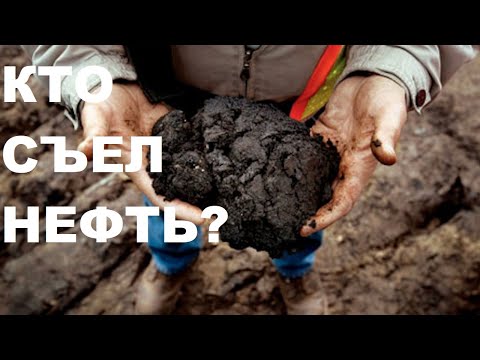Видео: КТО СЪЕЛ НЕФТЬ?